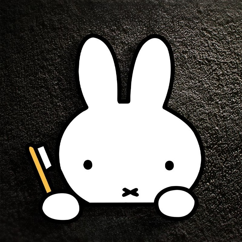 Pegatina para Coche de Miffy e - Atv Parts reseña y precio